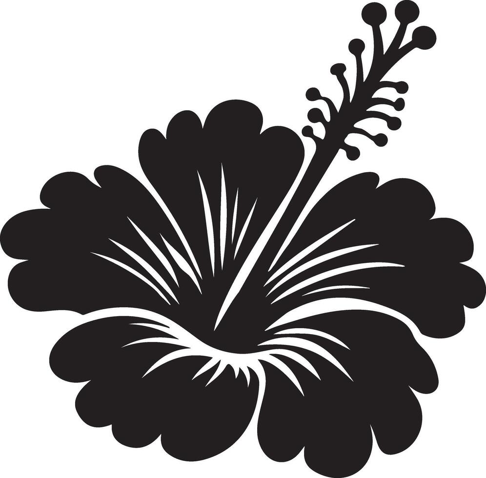 Hibiscus flower silhouette on white background. vector