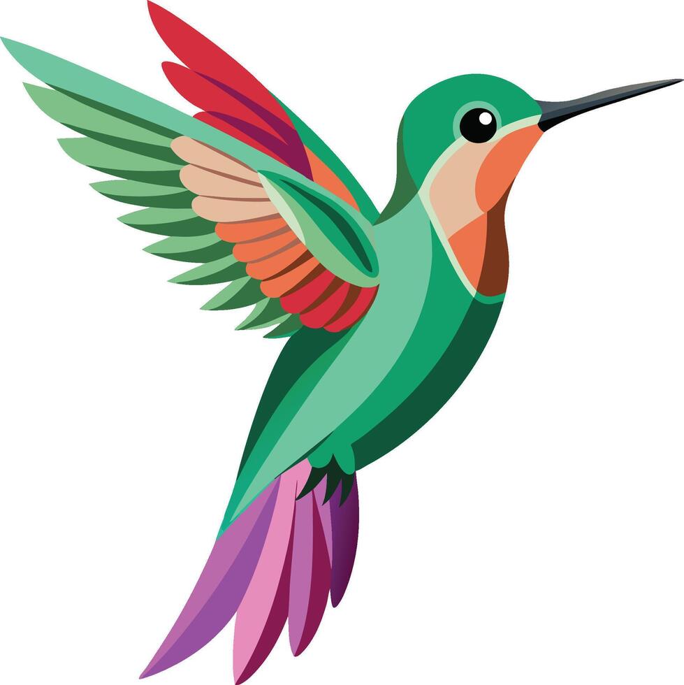 hummingbird illustration design vector