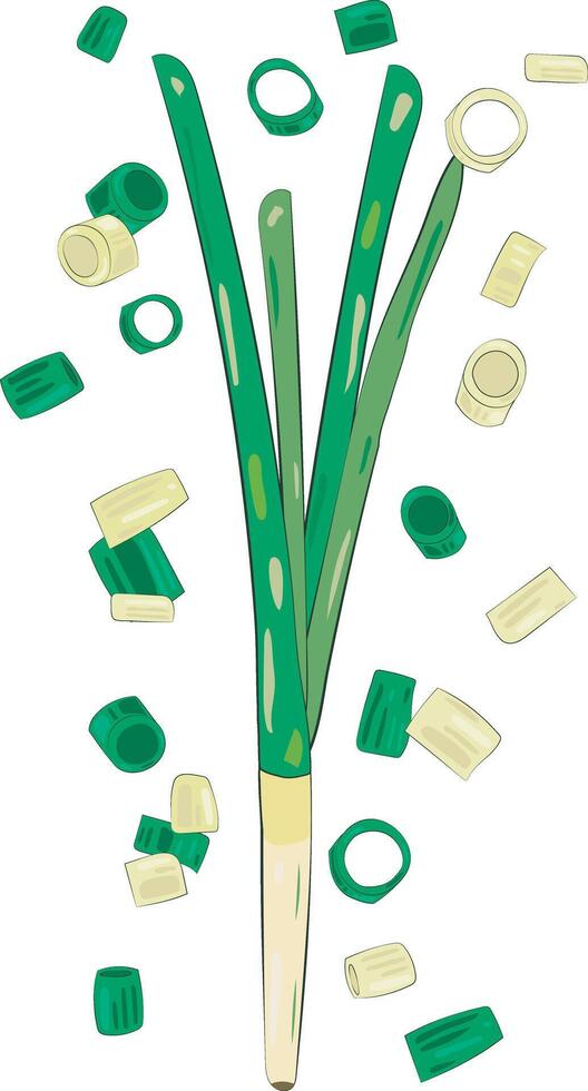 Chopped Green Onion Element Chives Slices Illustration Graphic Element Art Card vector