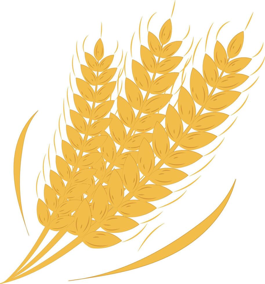 Golden Agriculture Wheat Ears Illustration Graphic Element Art Card vector
