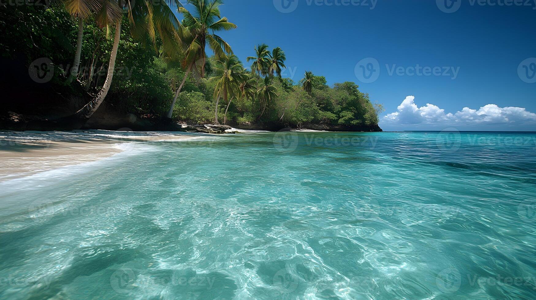 Tranquil Tropical Beach Oasis with Swaying Palm Trees and Crystal Clear Waters photo