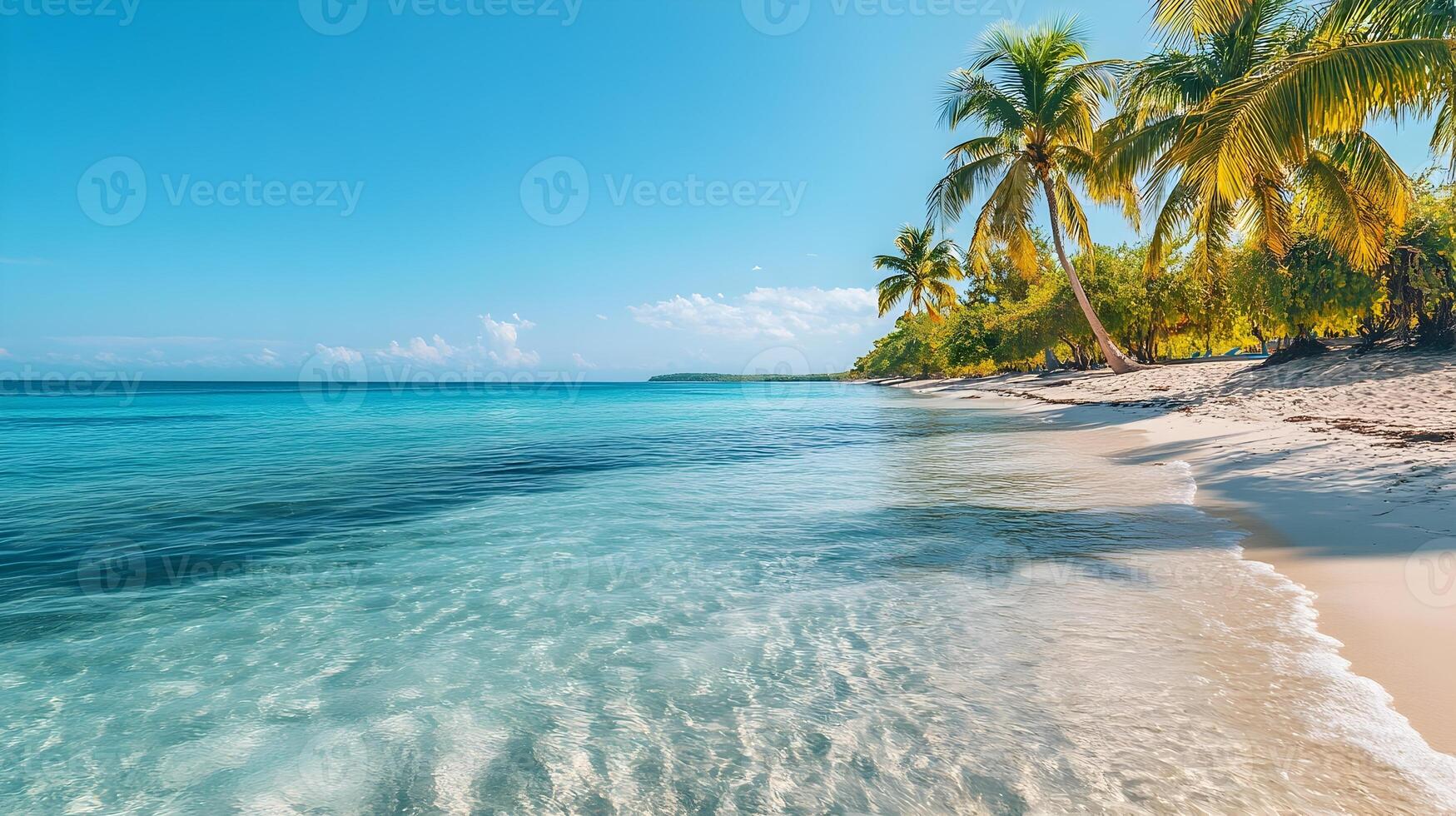 Mesmerizing Tropical Beach with Swaying Palm Trees and Turquoise Waters photo