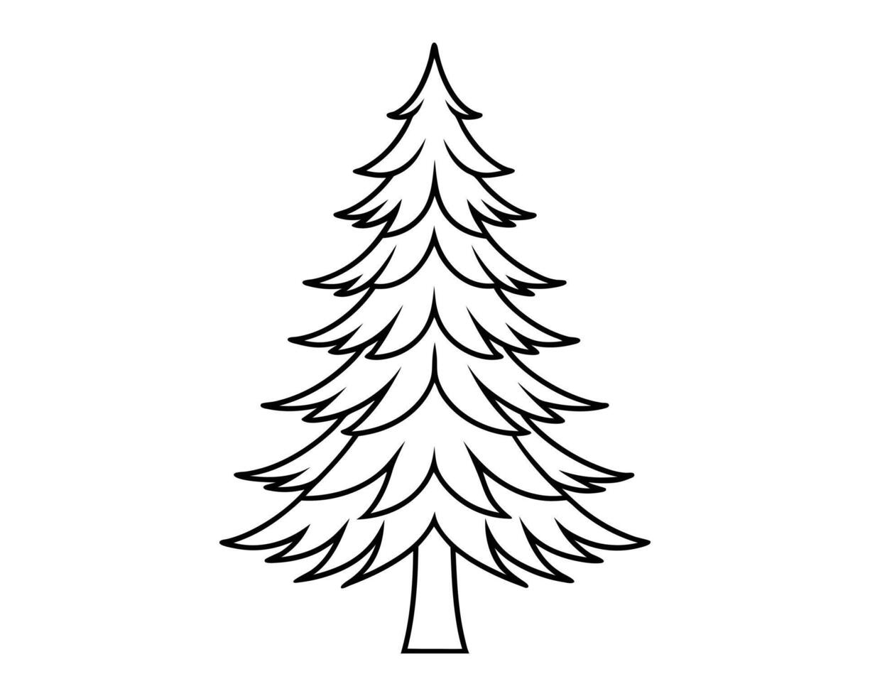 pine tree line art white background vector