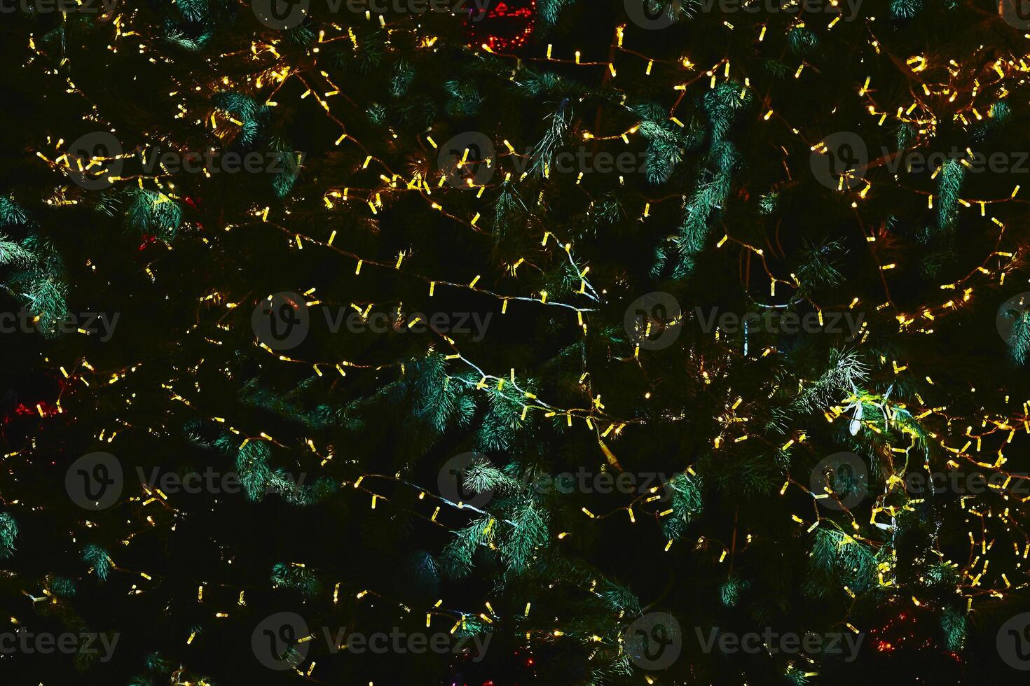 New Year Christmas background.Green fir branches with led galand photo