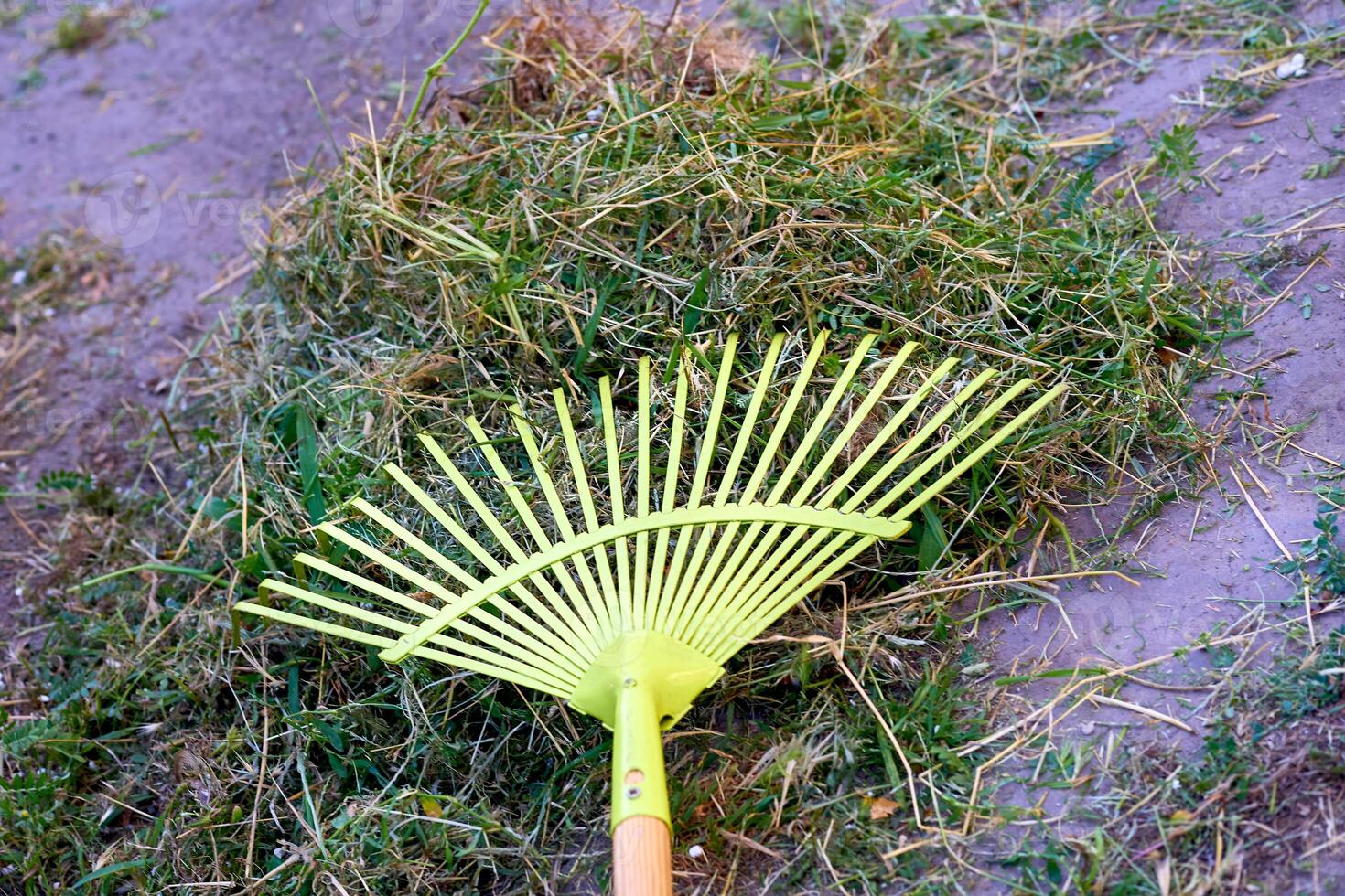 Lime plastic mop sweeping trash in the yard photo