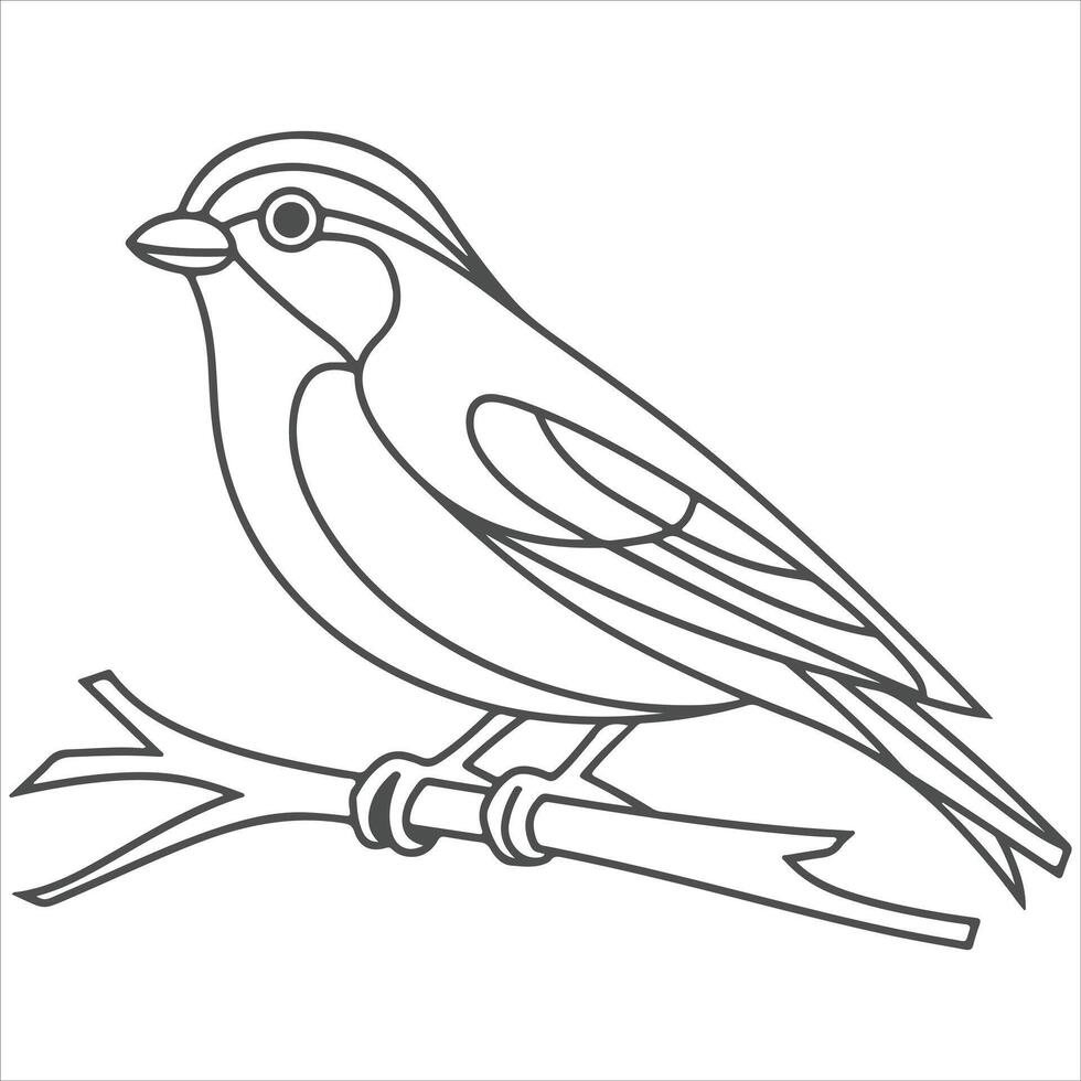 a beautiful bird outline for coloring vector