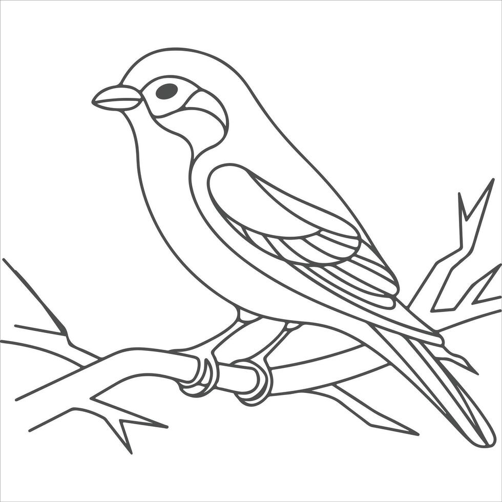a nice beautiful bird outline vector