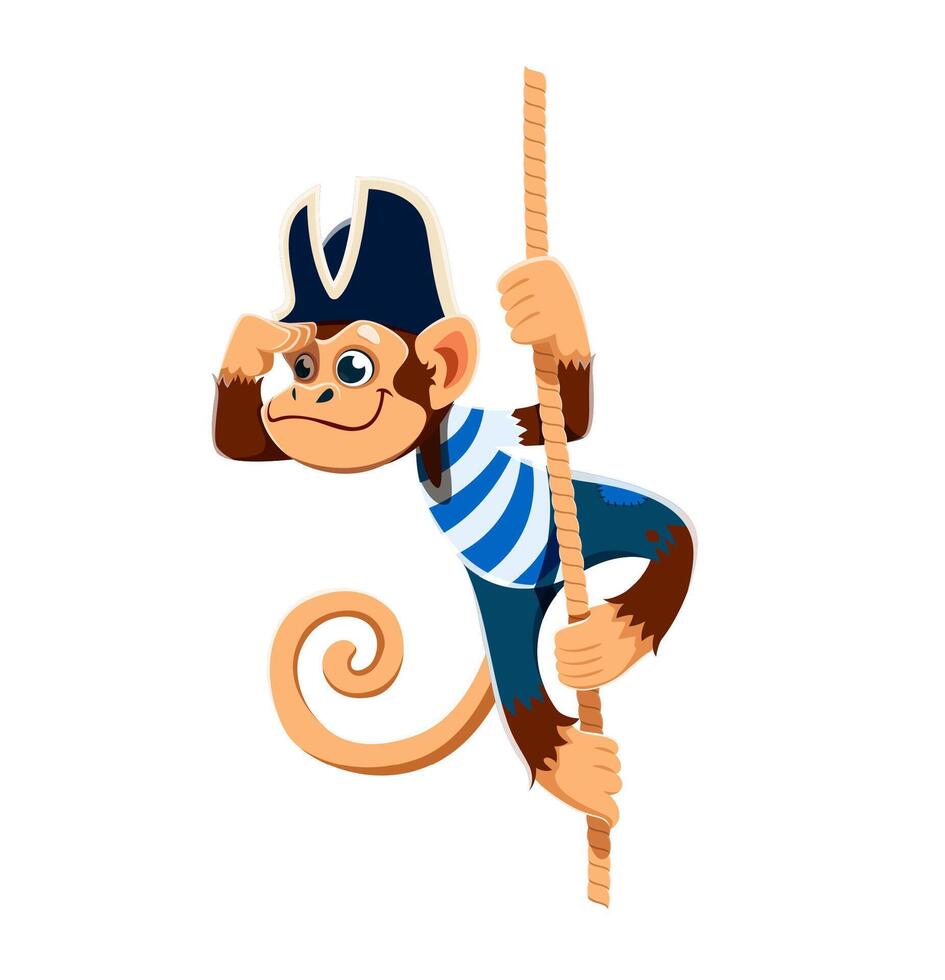 Cartoon monkey animal pirate, cabin boy character vector