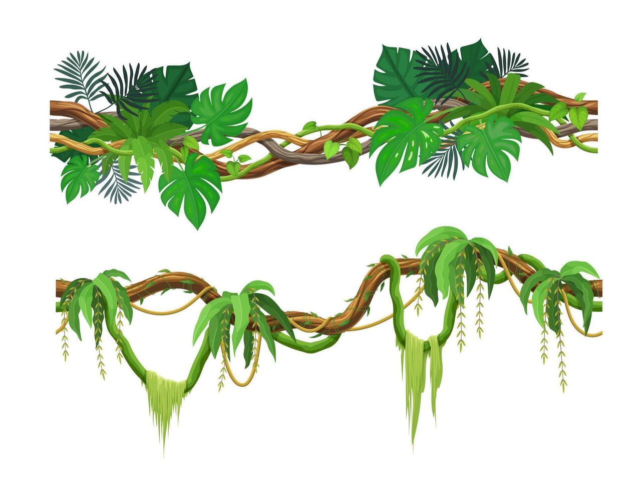 Tropical jungle forest liana cartoon branch vector