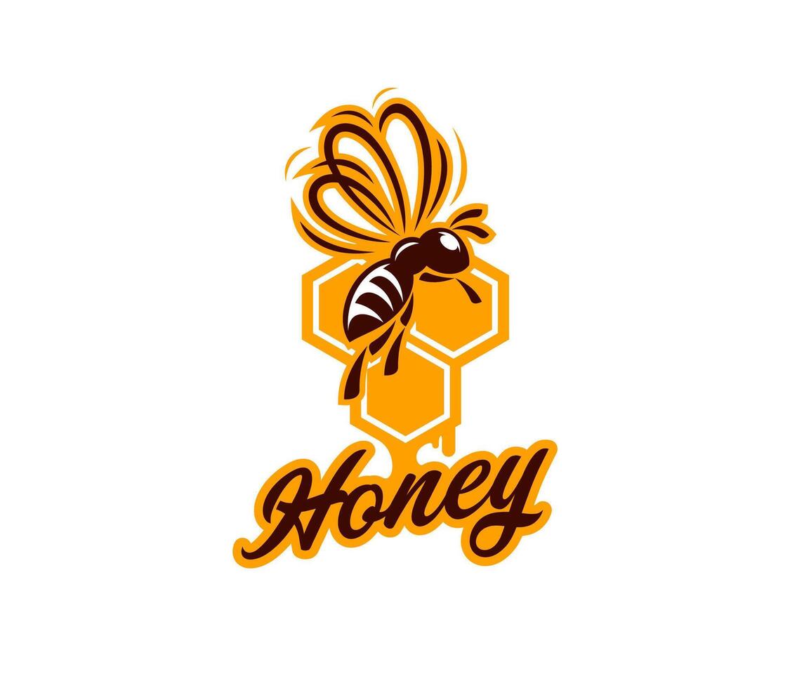 Honey bee icon, beekeeping and apiary products vector