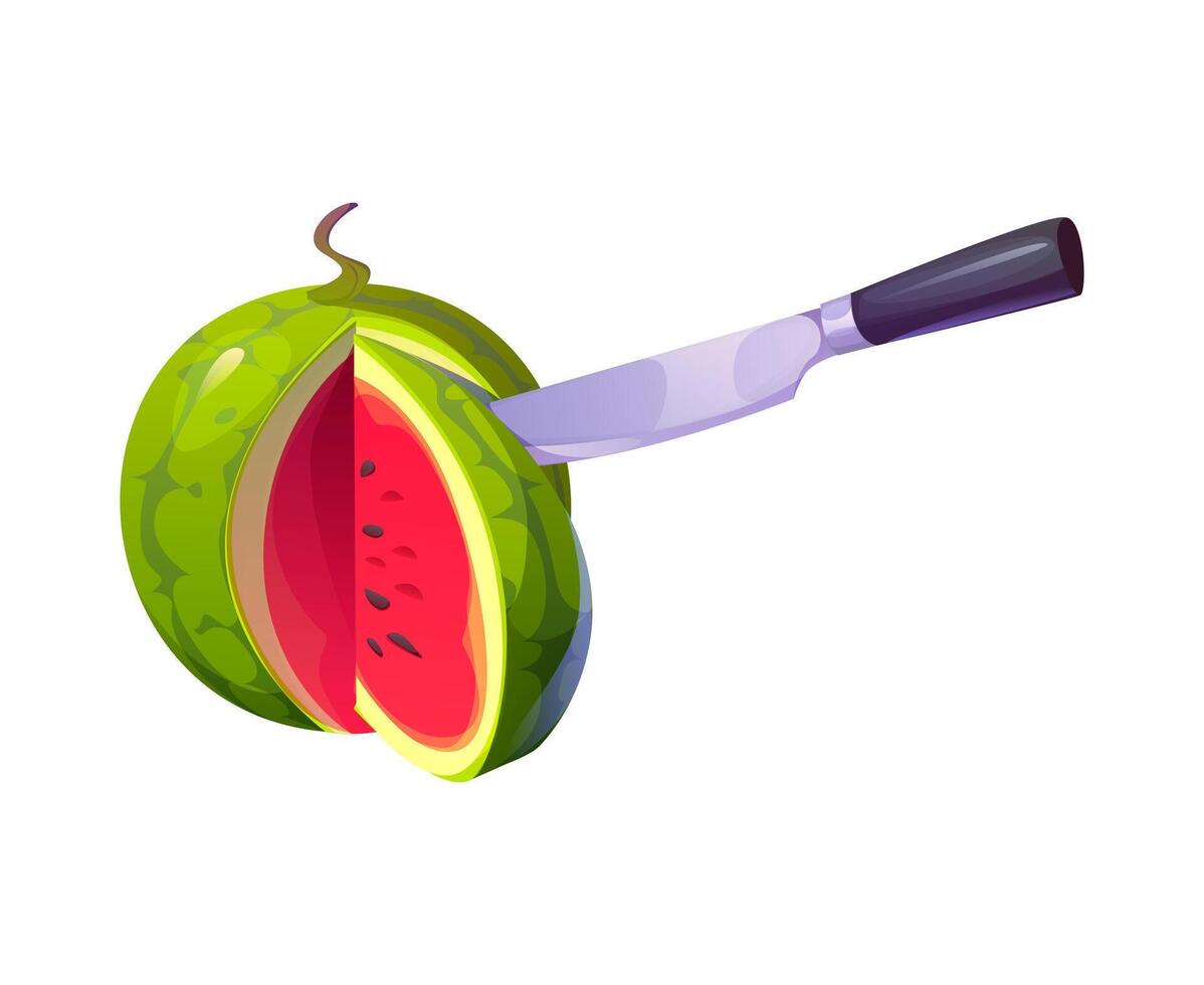 Knife precisely slicing ripe red juicy watermelon vector