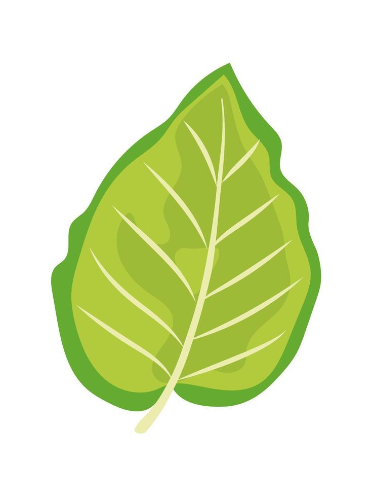 Green tropical leaf. Hand drawn illustration for eco-friendly design vector