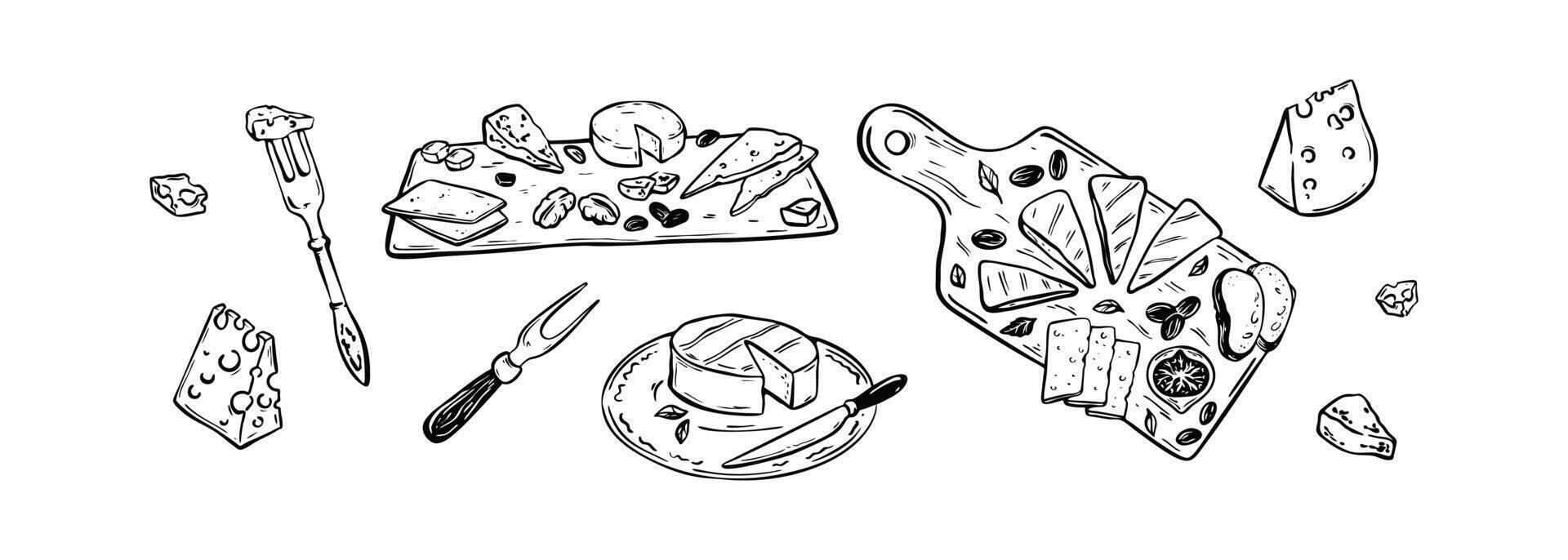 Wine cheese platte. Charcuterie board. Food handwriting drawing in doodle sketch style. Cheddar, parmesan, gouda, brie, gorgonzola slices and pieces. Antipasto appetiser menu vector