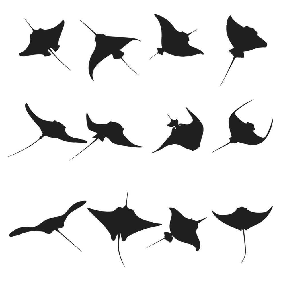 stingray silhouette art design vector