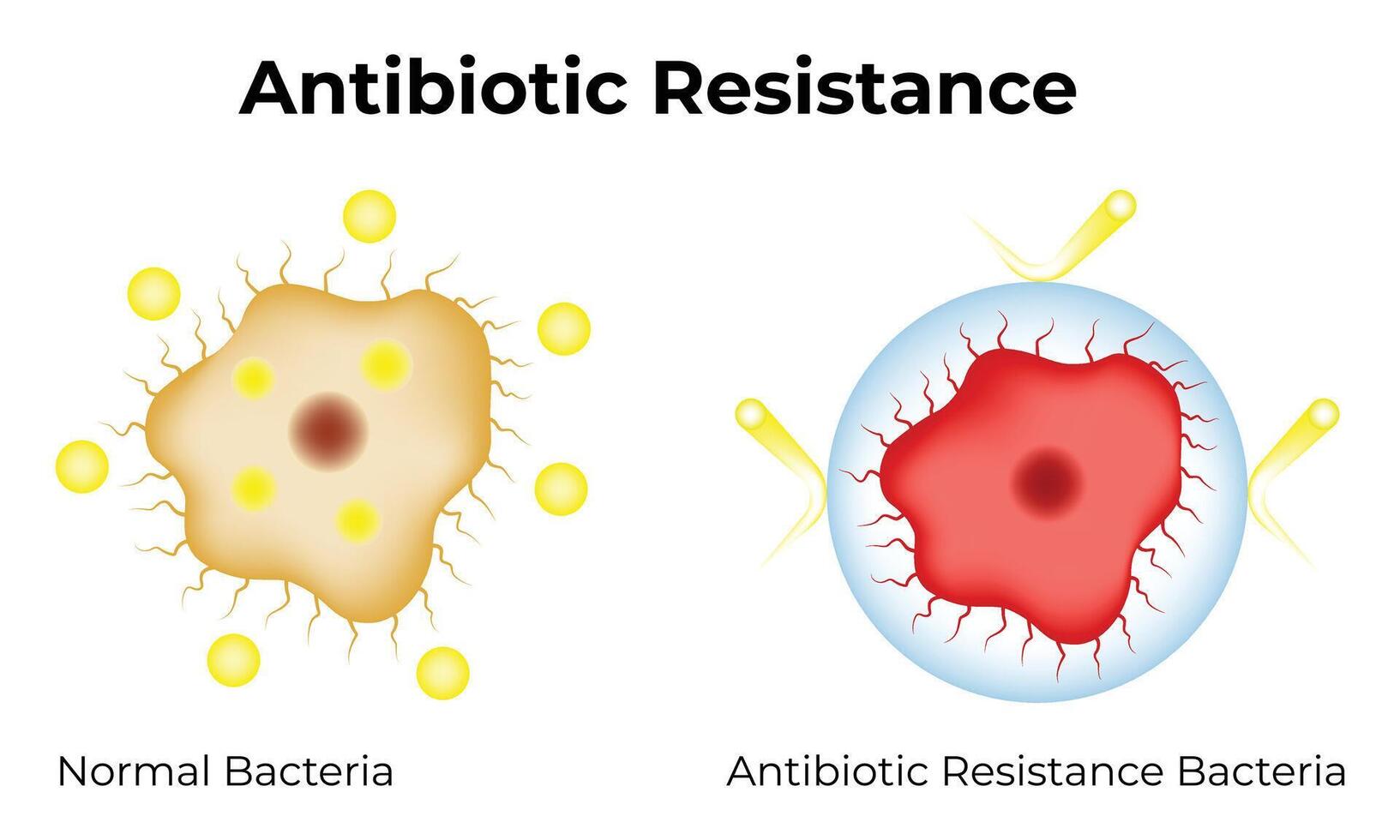 Antibiotic Resistance Science Design Illustration Diagram vector