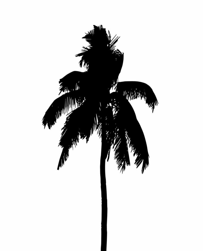 Elegant Coconut Palm Tree Silhouette for T-Shirt Graphics vector
