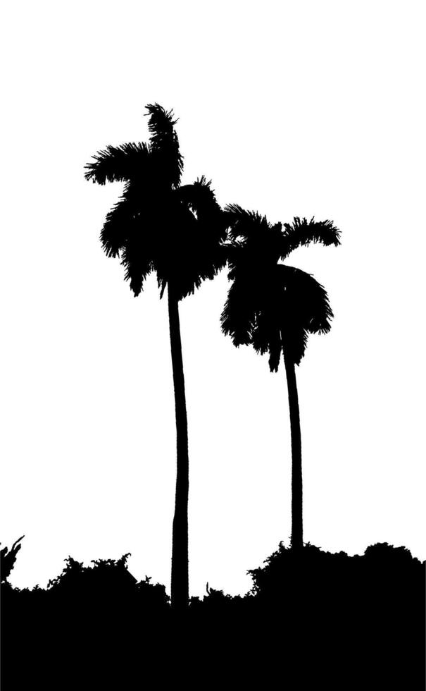 Black and White Coconut Palm Tree Silhouette Design vector