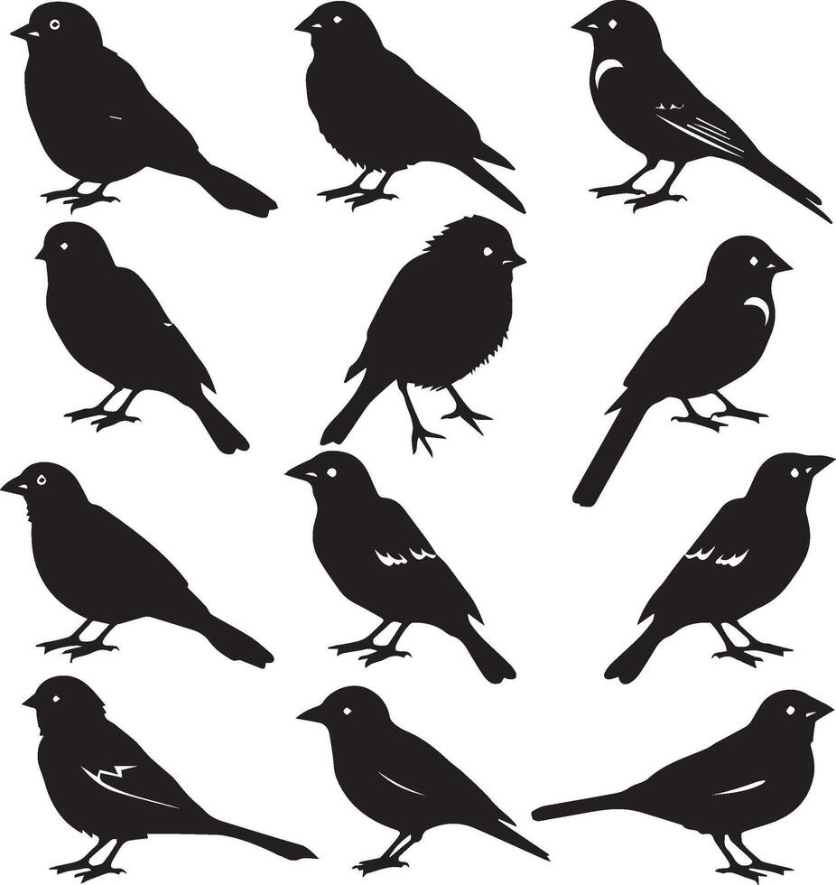Silhouette birds black vector