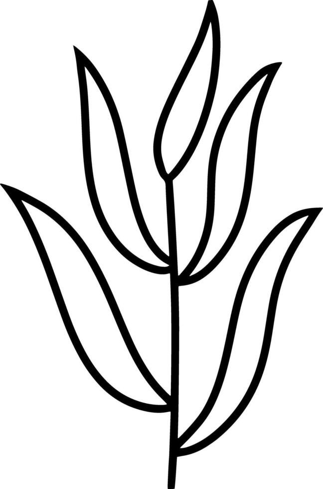 Doodle palm leaf icon Sketch branch clipart vector