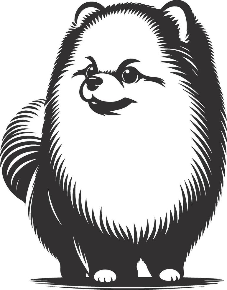 illustration of a pomeranian dog vector