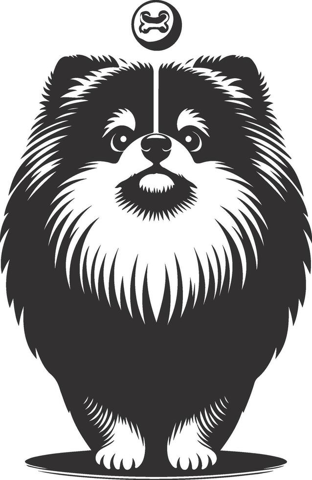 A pomeranian dog with a coin on its head vector