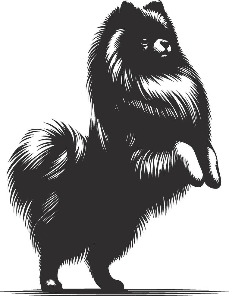 illustration of a pomeranian dog vector