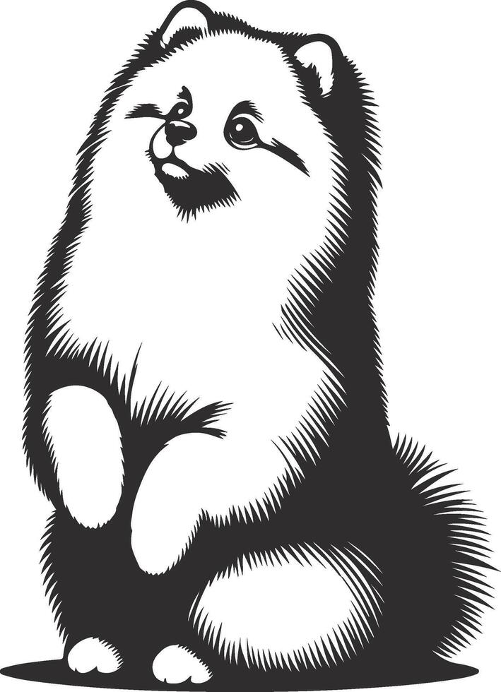 A black and white drawing of a pomeranian dog vector