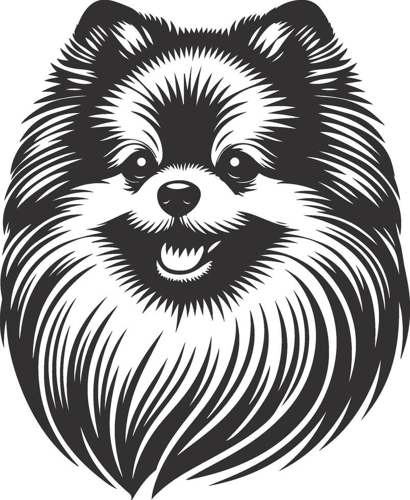 illustration of a pomeranian dog head vector