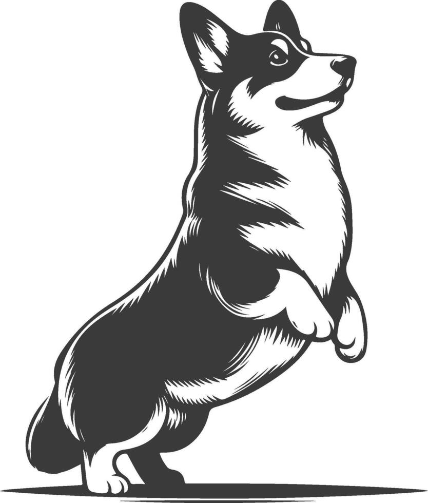 A black and white illustration of a dog standing up vector