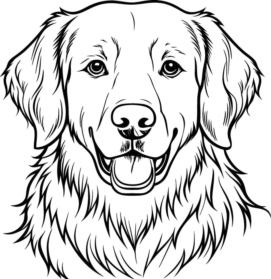 Golden retriever coloring pages vector