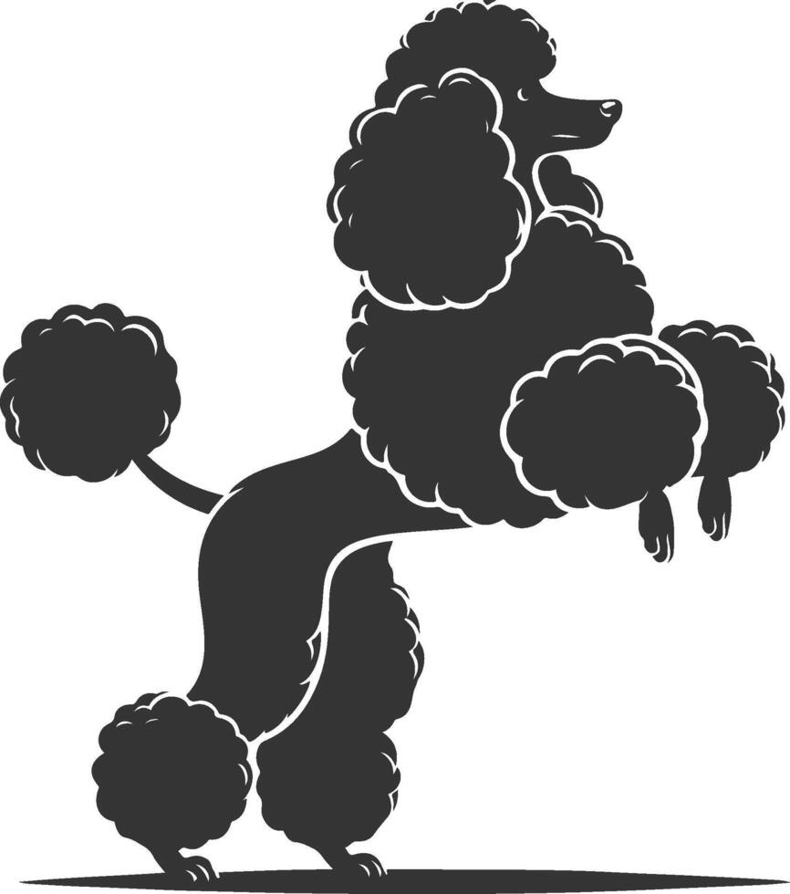A black poodle dog standing on its hind legs vector