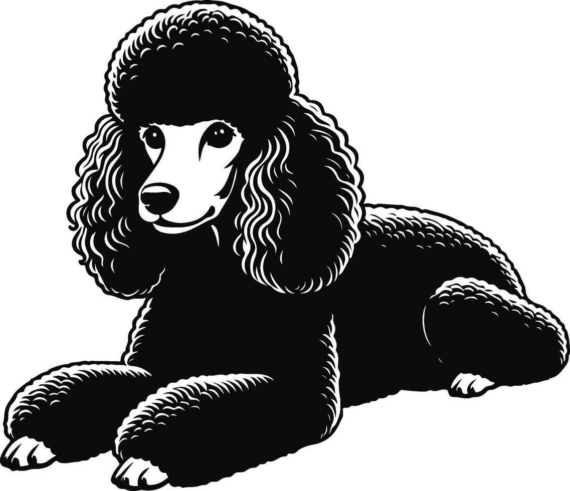 A black poodle dog with a big black fur vector