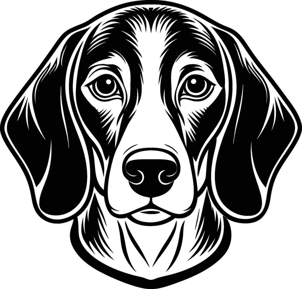 Beagle dog head vector