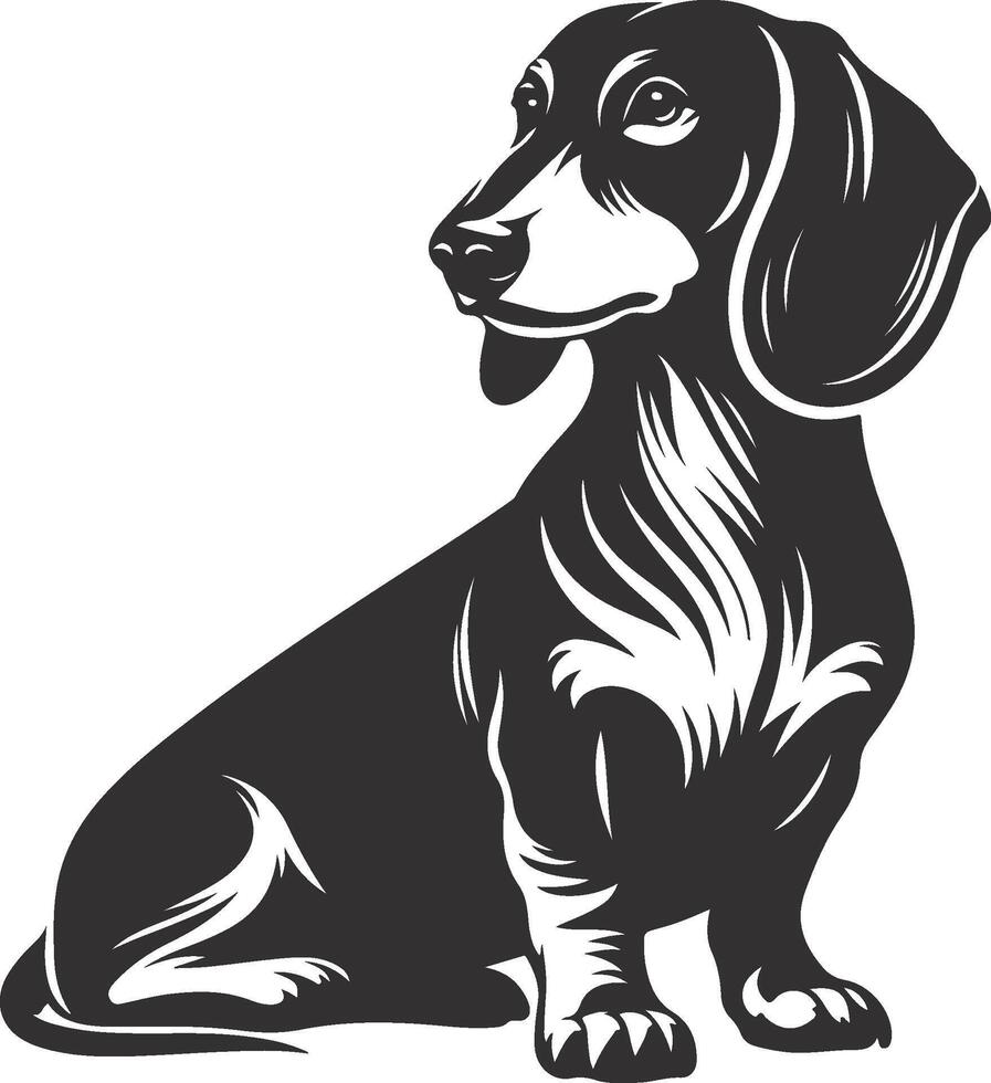 A black and white illustration of a dachshund dog vector