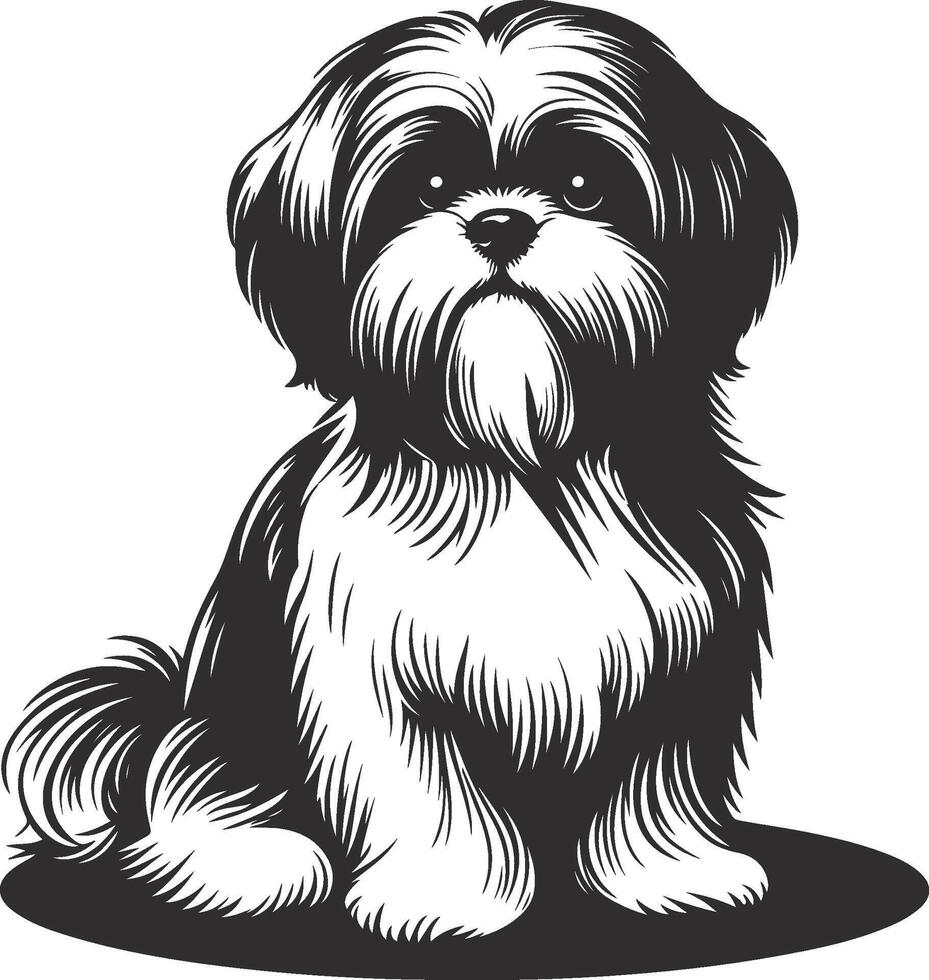 Shih Tzu poses Very cute silhouette Dog Design vector