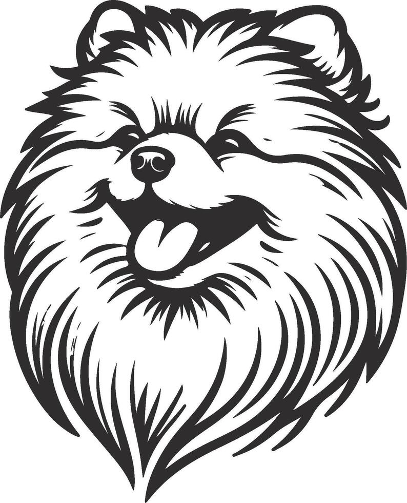 A pomeranian dog head is shown in a black and white drawing vector