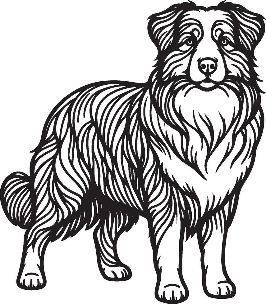Australian shepherd dog coloring pages vector