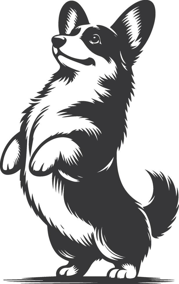 A black and white illustration of a dog standing up vector