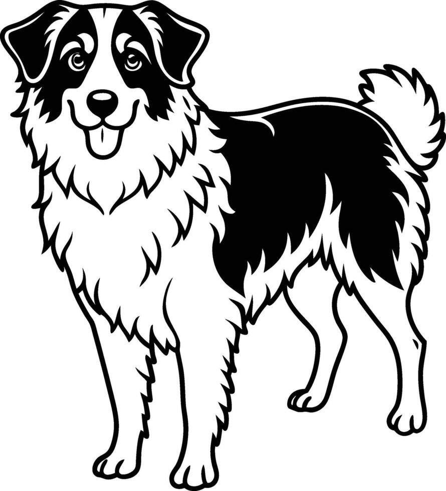A black and white dog standing on a white background vector
