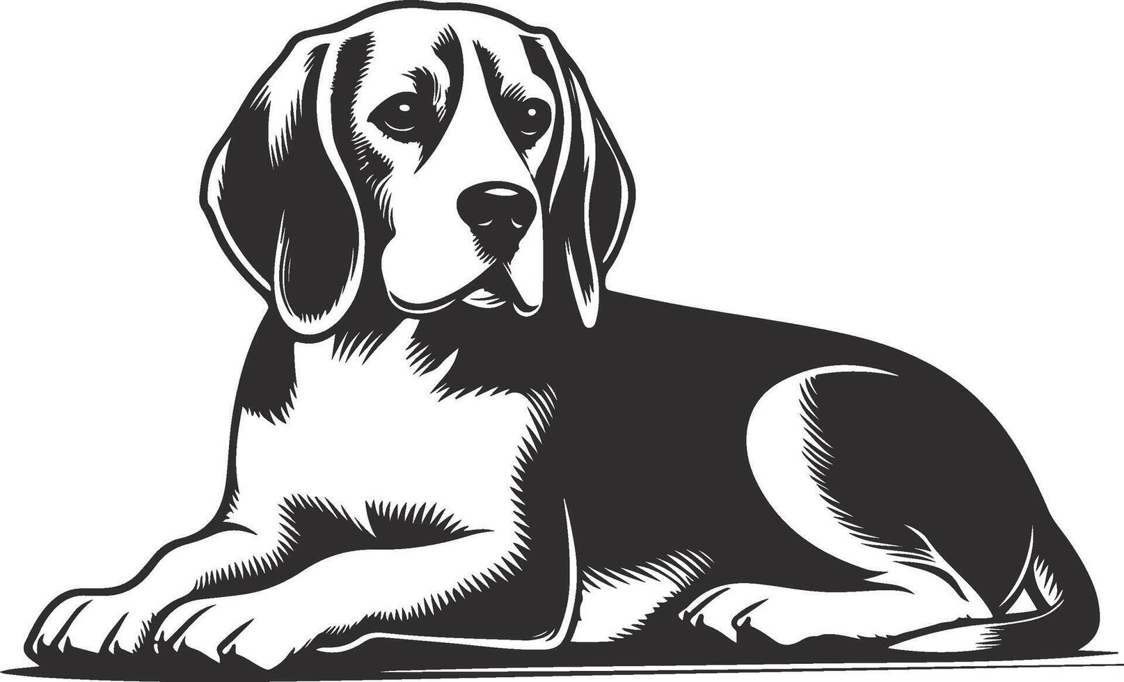 Beagle dog sitting on the floor, black and white illustration vector