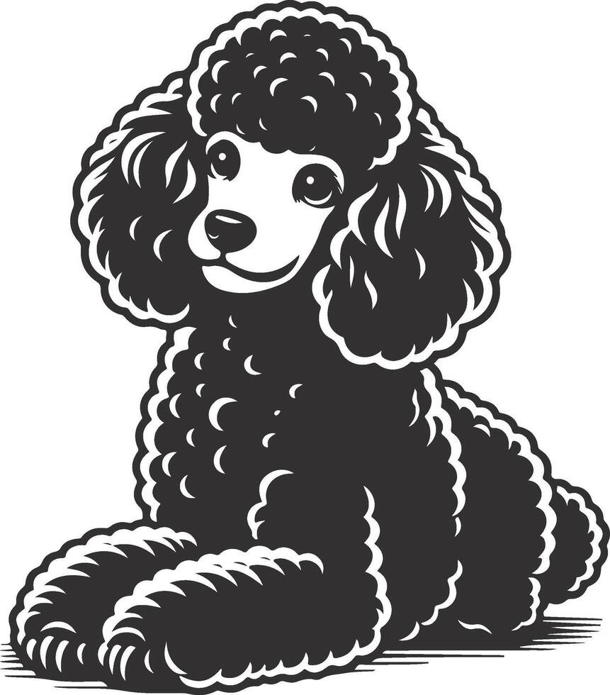 A black and white poodle dog sitting down vector