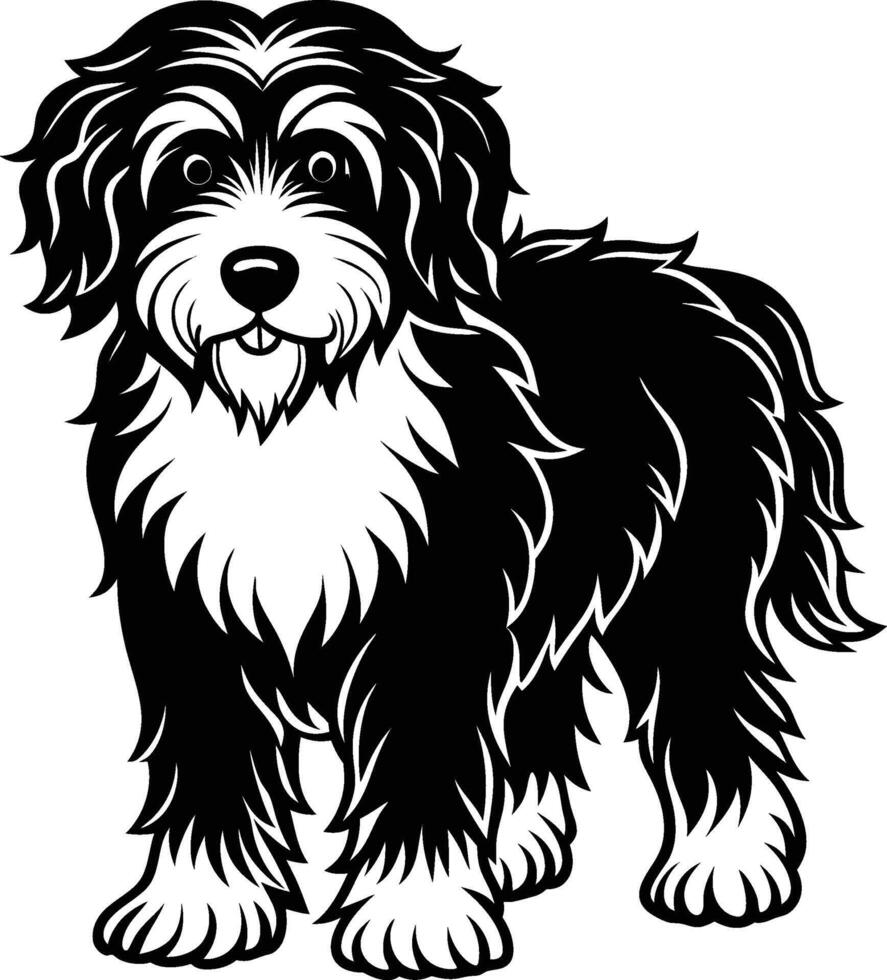 A black and white dog with long hair vector