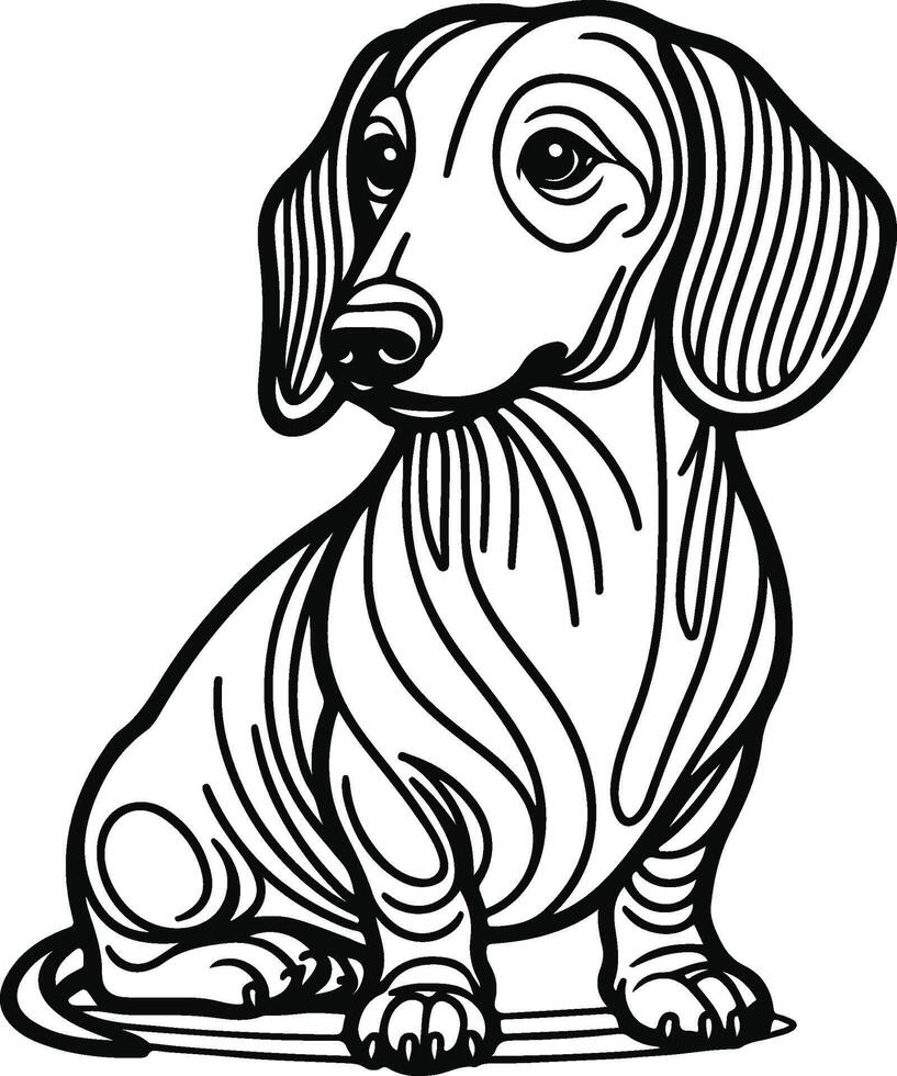 Dachshund dog coloring pages vector