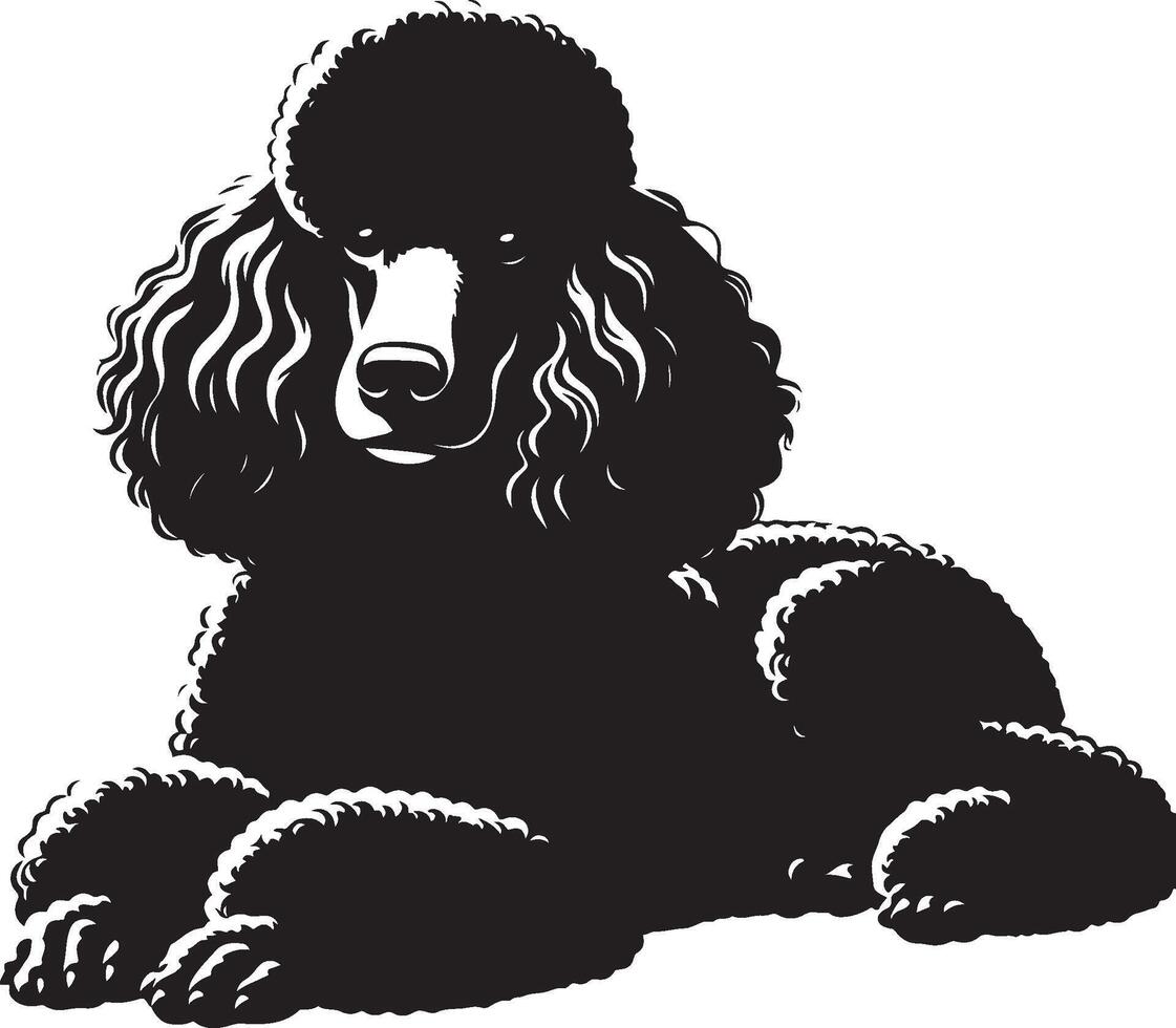 A black poodle dog is sitting down vector