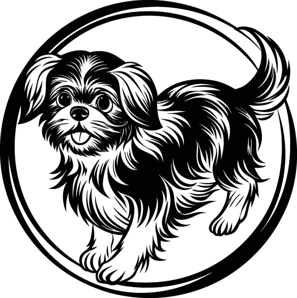 Shih Tzu poses Very cute silhouette Dog Design vector