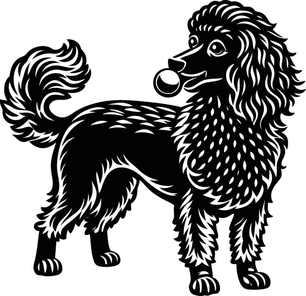 A black and white poodle dog with a ball in its mouth vector
