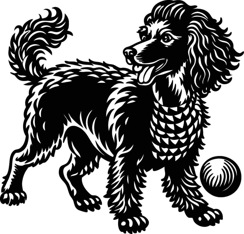 A black and white illustration of a poodle with a ball vector