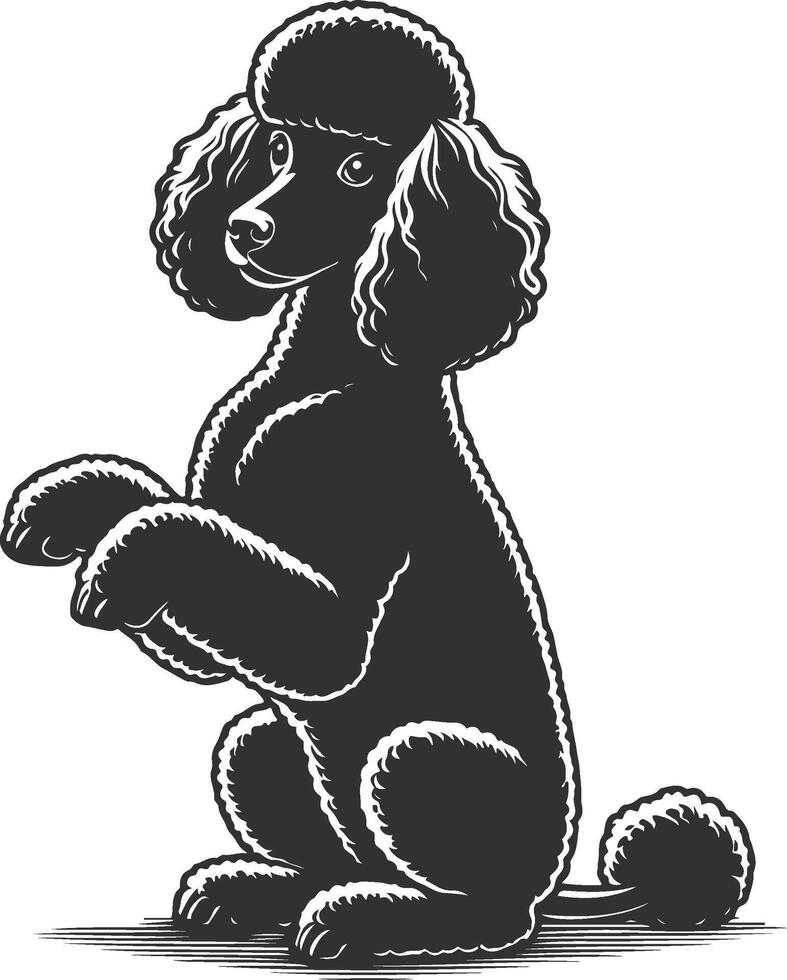 A black and white poodle sitting on its hind legs vector