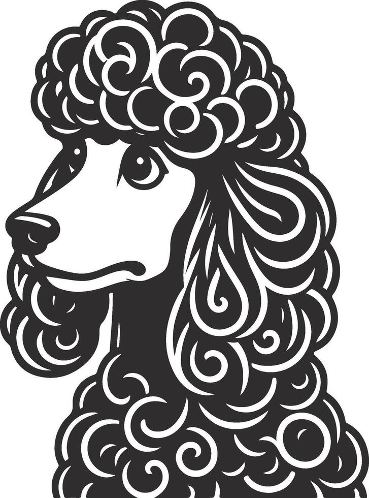 A poodle dog with curly hair is shown in a black and white drawing vector