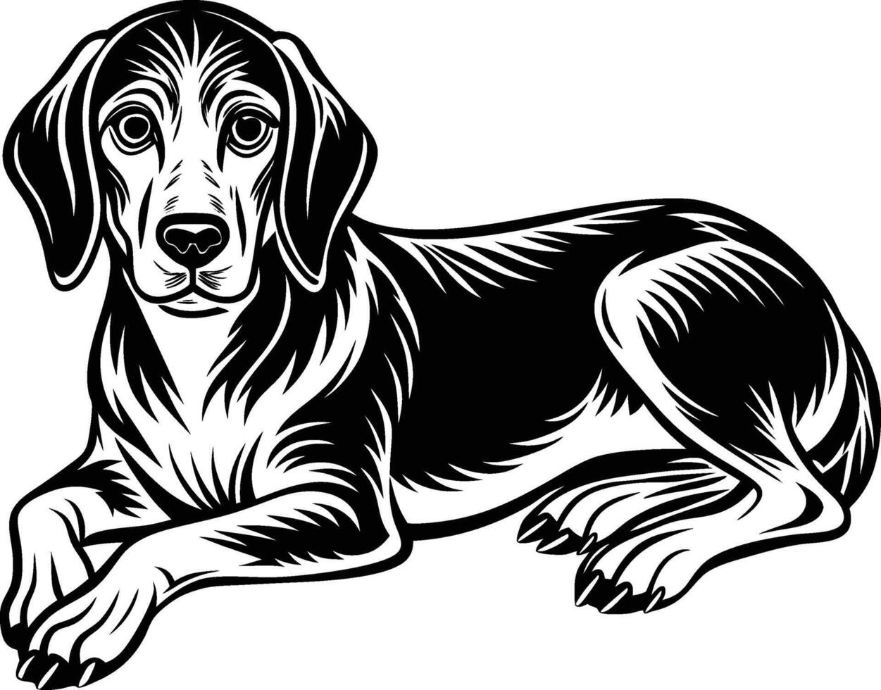 A black and white dog sitting on the ground vector